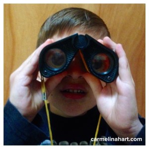 Do you see what I see?